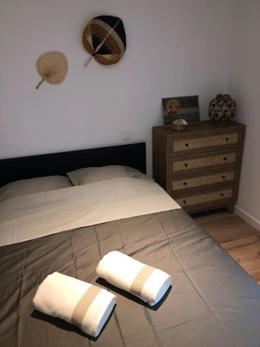 Appartement Cosy-Grand Stade Villeneuve D'Ascq Lezennes Luaran gambar