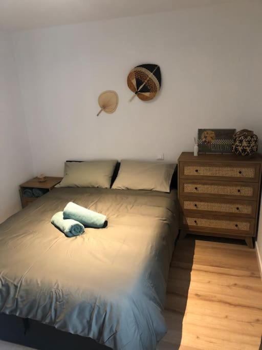 Appartement Cosy-Grand Stade Villeneuve D'Ascq Lezennes Luaran gambar